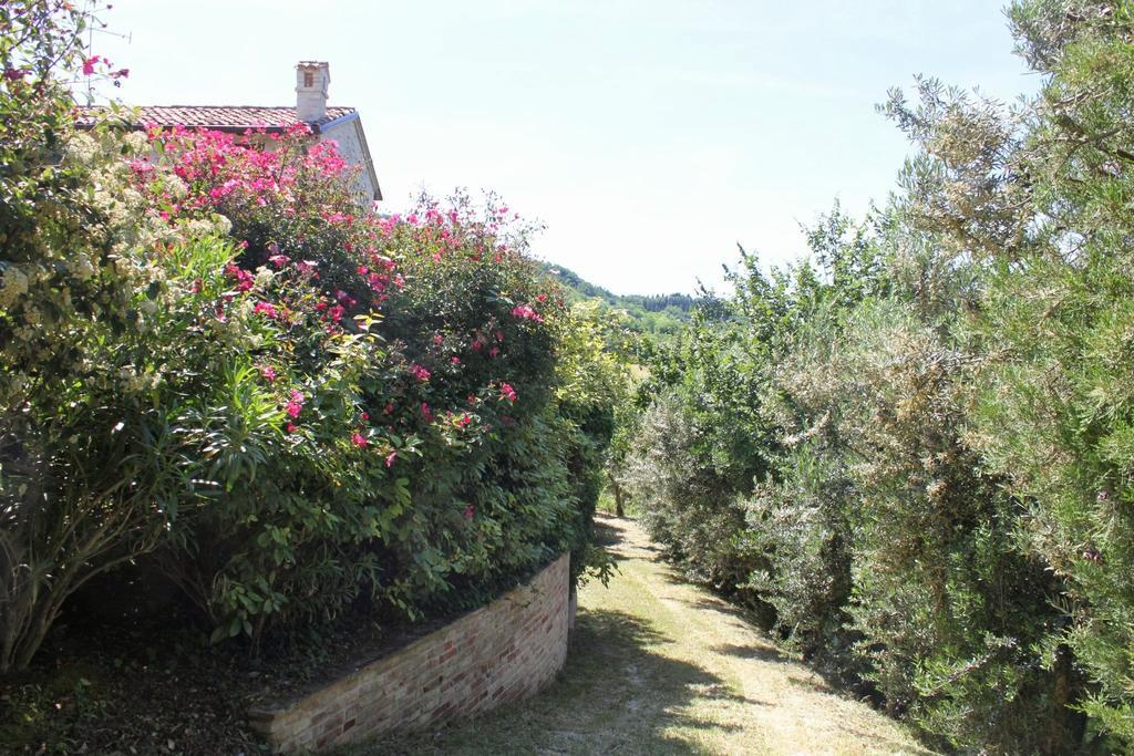 Villa Melagrana Fano Dış mekan fotoğraf