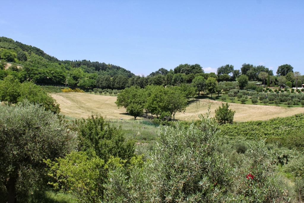 Villa Melagrana Fano Oda fotoğraf