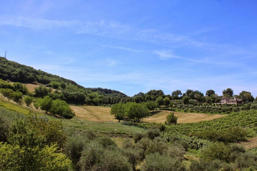 Villa Melagrana Fano Oda fotoğraf